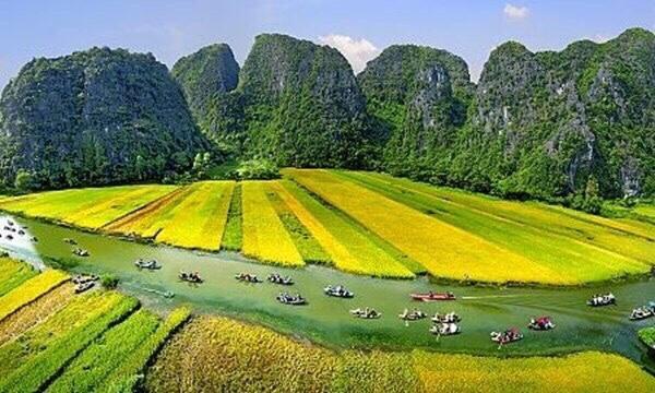 Tam Coc Cozy Homestay Ninh Bình Extérieur photo