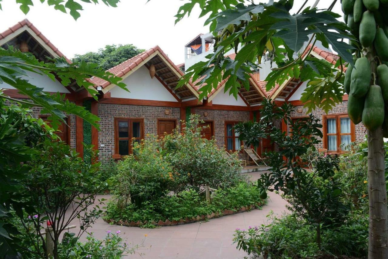 Tam Coc Cozy Homestay Ninh Bình Extérieur photo